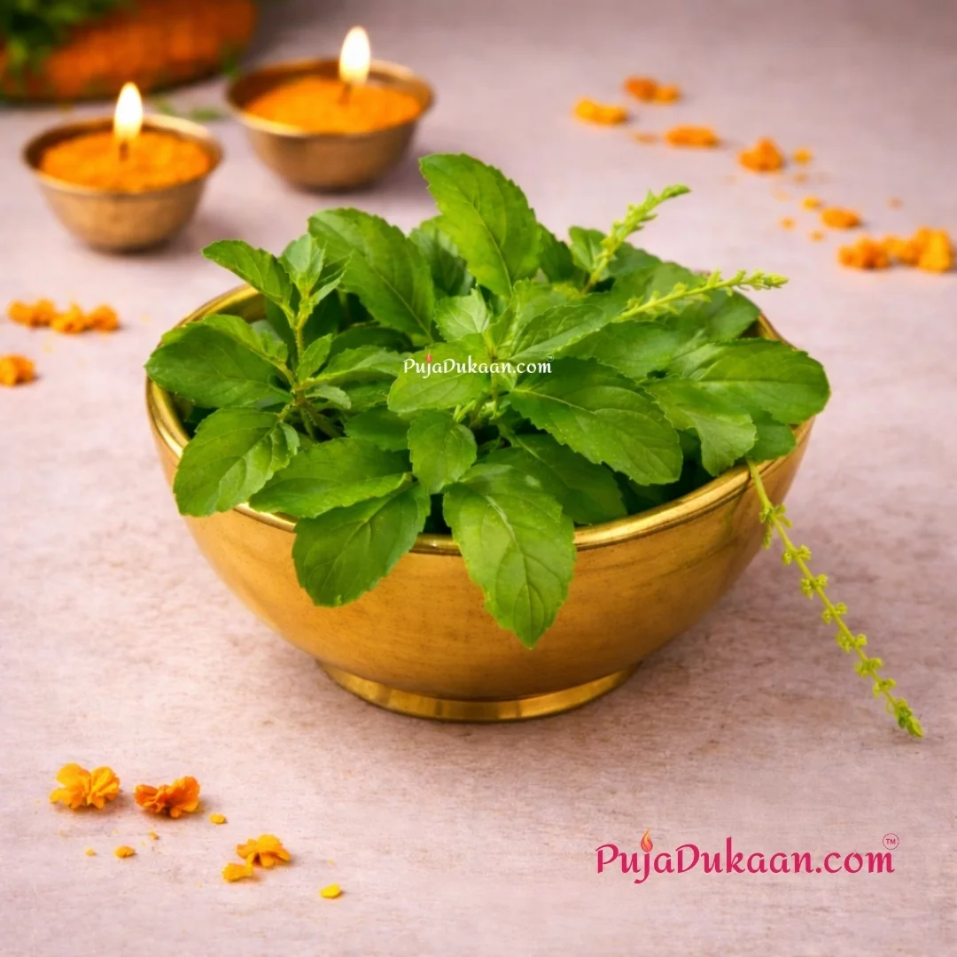 Tulsi Leaves